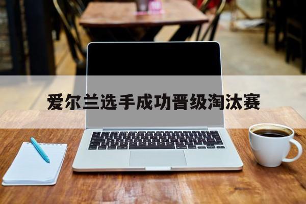 爱尔兰选手成功晋级淘汰赛