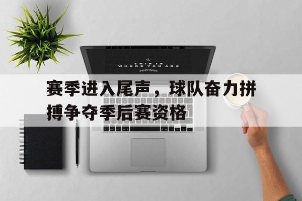 赛季进入尾声，球队奋力拼搏争夺季后赛资格